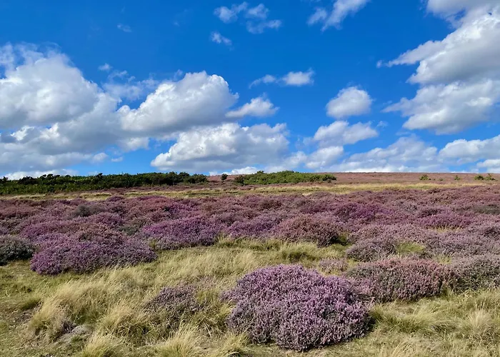 Church House Farm * Danby