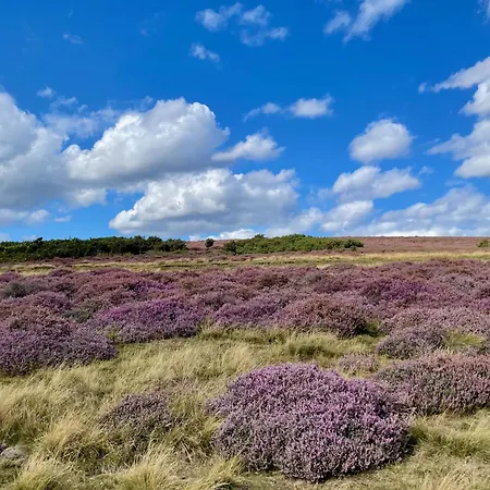 农场庄园教堂酒店 * 丹比