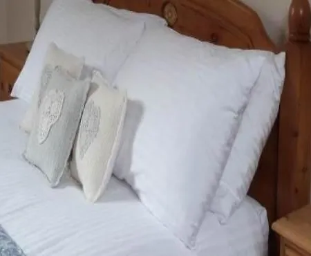 农场庄园教堂酒店 度假居